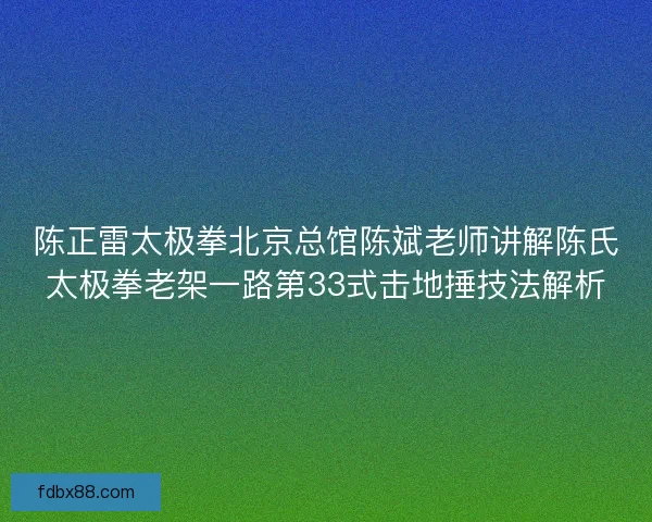 陈正雷太极拳北京总馆陈斌老师讲解陈氏太极拳老架一路第33式击地捶技法解析